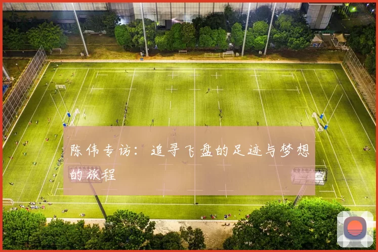 陈伟专访:追寻飞盘的足迹与梦想的旅程