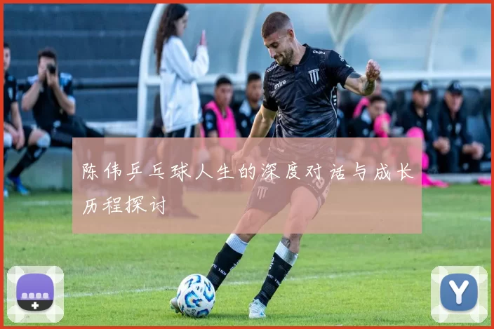 陈伟乒乓球人生的深度对话与成长历程探讨