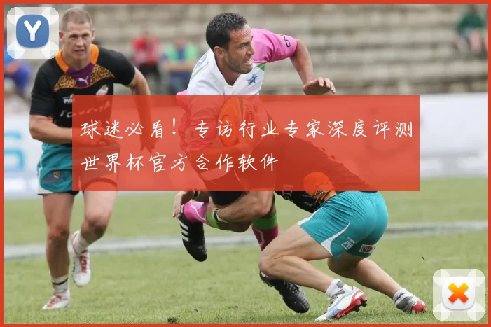 球迷必看!专访行业专家深度评测世界杯官方合作软件