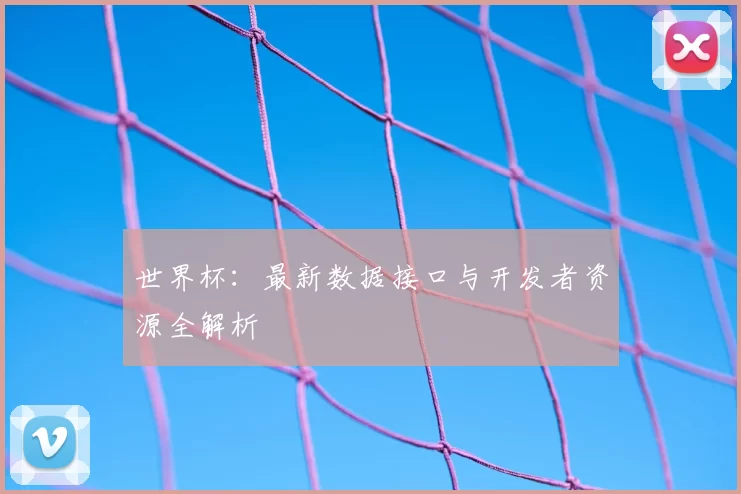 世界杯:最新数据接口与开发者资源全解析