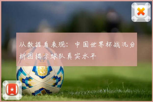 从数据看表现：中国世界杯战况分析图揭示球队真实水平