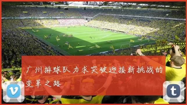 广州排球队力求突破迎接新挑战的变革之路