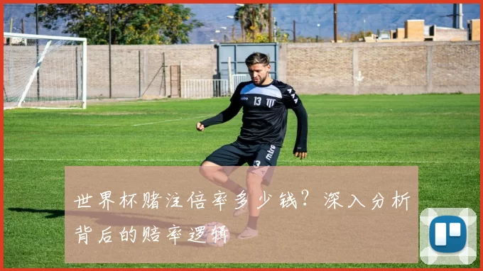 世界杯赌注倍率多少钱?深入分析背后的赔率逻辑