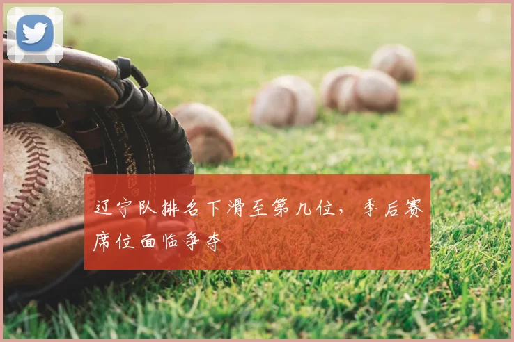 辽宁队排名下滑至第几位,季后赛席位面临争夺