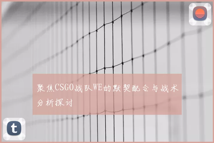 聚焦CSGO战队WE的默契配合与战术分析探讨
