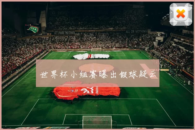 世界杯小组赛曝出假球疑云
