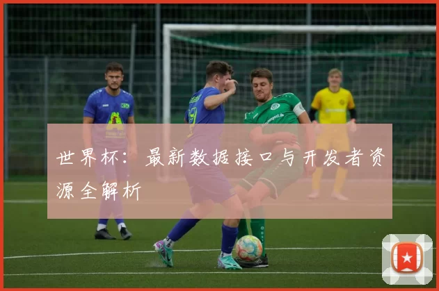 世界杯:最新数据接口与开发者资源全解析