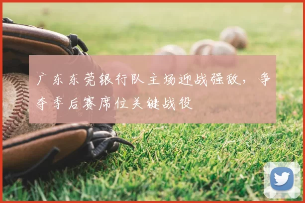 广东东莞银行队主场迎战强敌，争夺季后赛席位关键战役