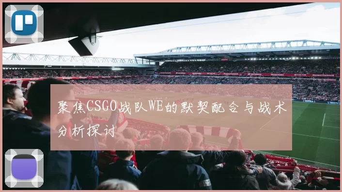 聚焦CSGO战队WE的默契配合与战术分析探讨