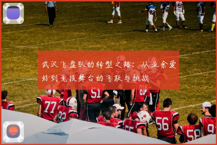 武汉飞盘队的转型之路：从业余爱好到竞技舞台的飞跃与挑战