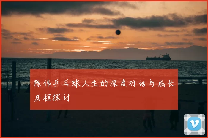 陈伟乒乓球人生的深度对话与成长历程探讨