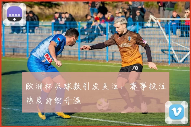 欧洲杯买球数引发关注，赛事投注热度持续升温
