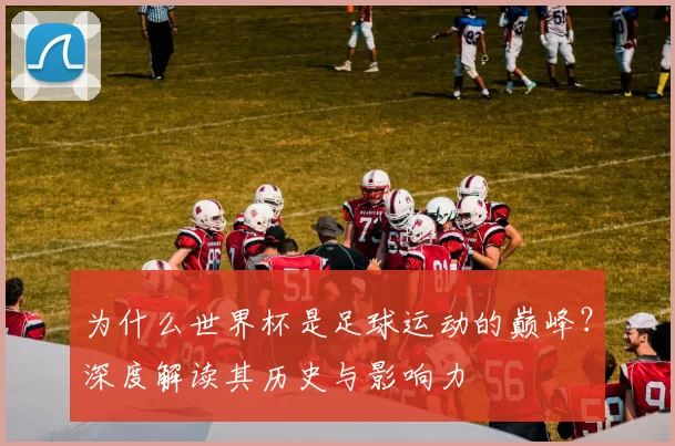 为什么世界杯是足球运动的巅峰?深度解读其历史与影响力