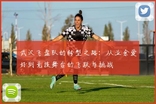 武汉飞盘队的转型之路：从业余爱好到竞技舞台的飞跃与挑战