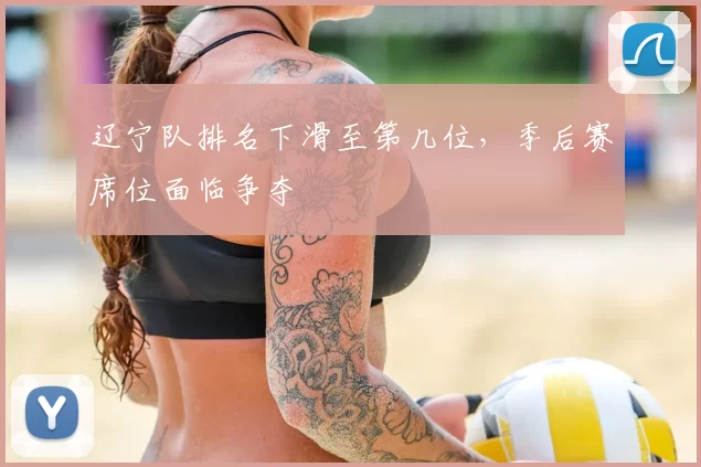辽宁队排名下滑至第几位,季后赛席位面临争夺