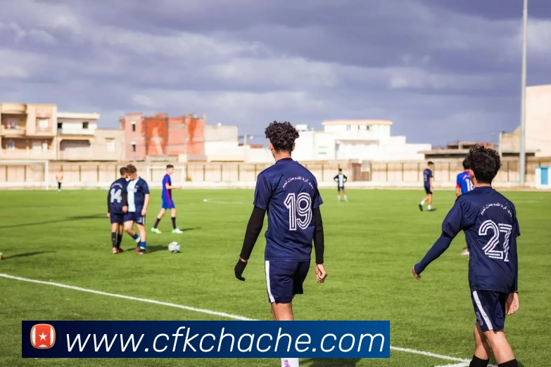 开云平台生态图